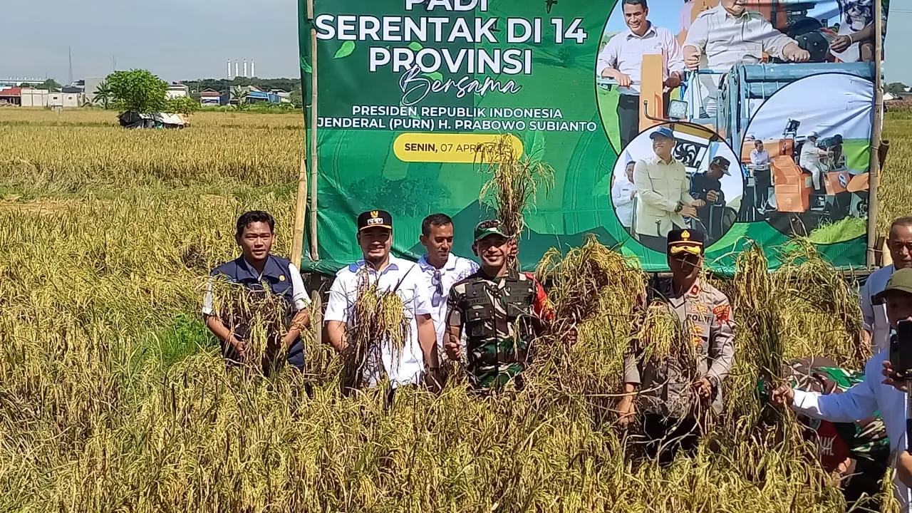 Dandim 0623 Cilegon Menghadiri Panen Padi Serentak Di 14 Provinsi Secara Virtual Bersama Presiden RI