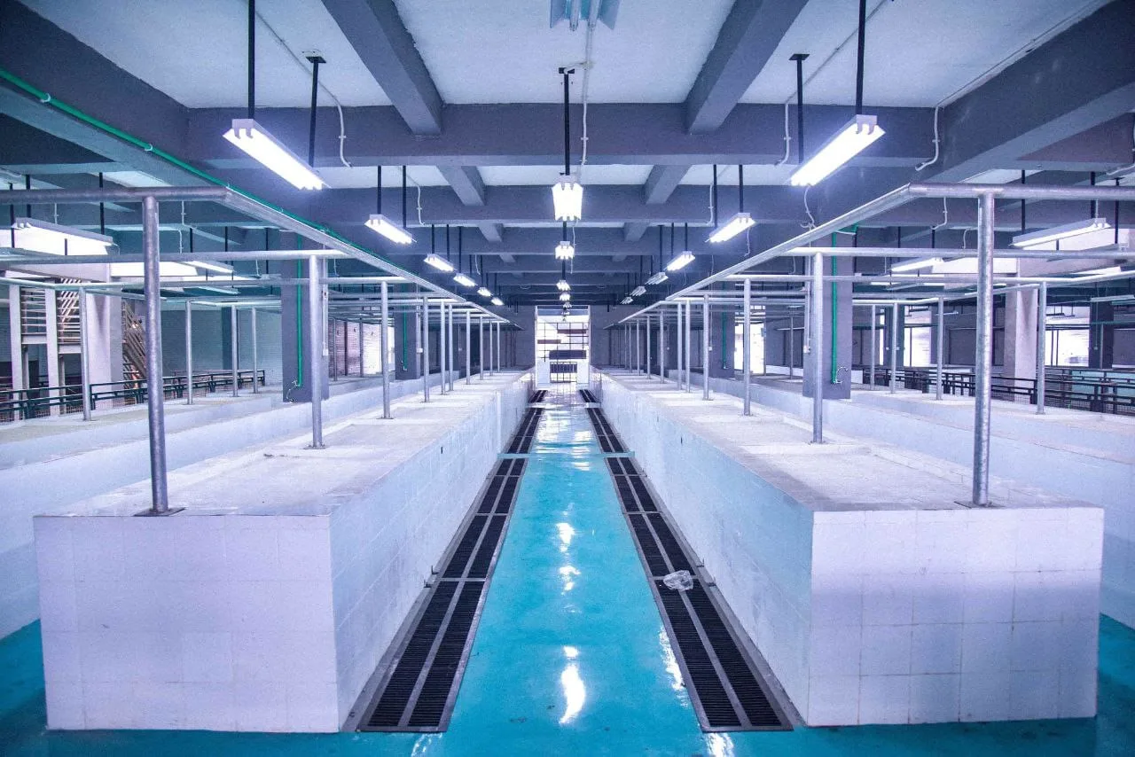 Pemkot Tangsel Siapkan Ratusan Los Kosong di Gedung Pasar Ciputat, Cukup Daftar dan Gratis