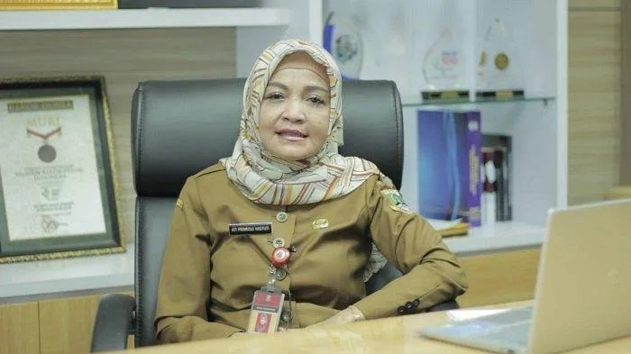 Soal Temuan BPK, Kadis Dinkes Banten Klarifikasi Terkait Mamin