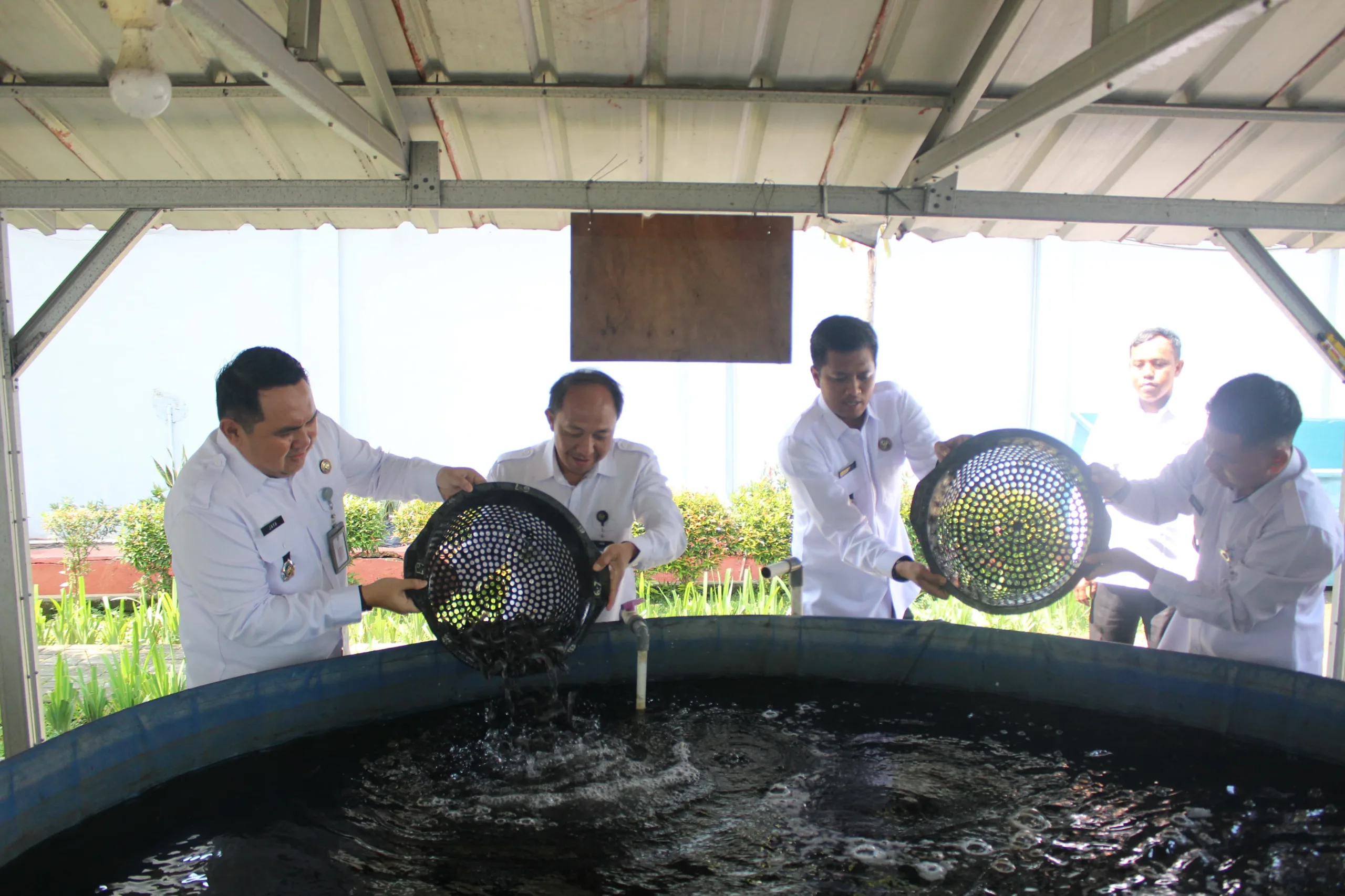 Dukung Program Ketahanan Pangan, Lapas Cikarang Tebar Ribuan Benih Ikan Lele