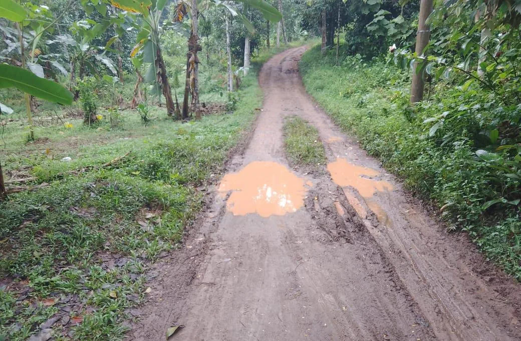 Jalan Rusak 25 Tahun di Kampung Tampakaso, Negara Absen di Tengah Batu dan Lumpur