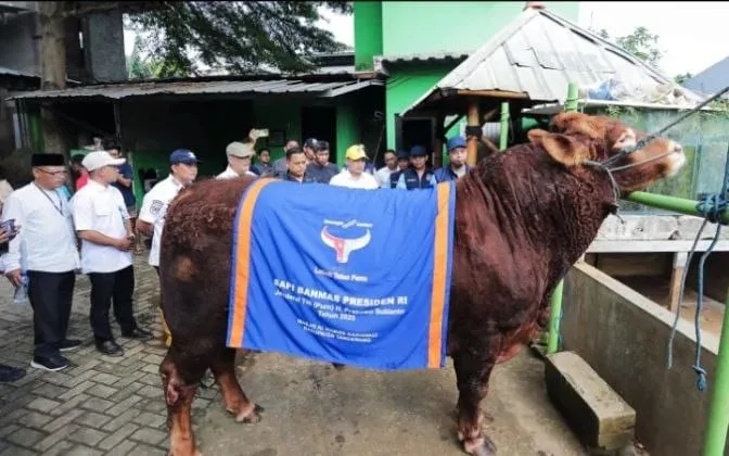 Pemkot Tangsel Perketat Pengawasan Jelang Iduladha, Pilar: 4.330 Hewan Kurban Bebas PMK