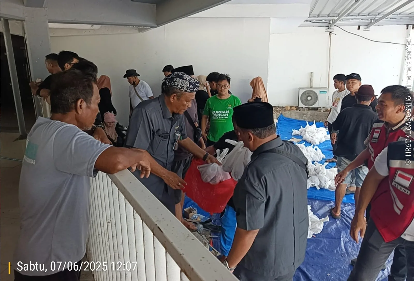 Gapasdap, INFA, ASDP, dan Jasa Raharja Gelar Kurban Raya Iduladha 1446 H: 11 Sapi dan 2.500 Paket Daging untuk Warga