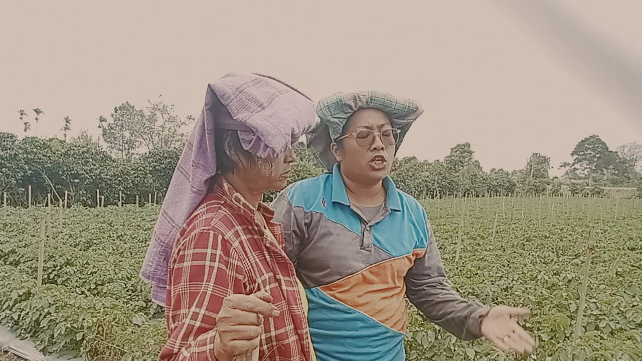 Harga Cabe Memprihatinkan,Petani Karo Minta Peran Pemerintah Untuk Membuat Kestabilan Harga