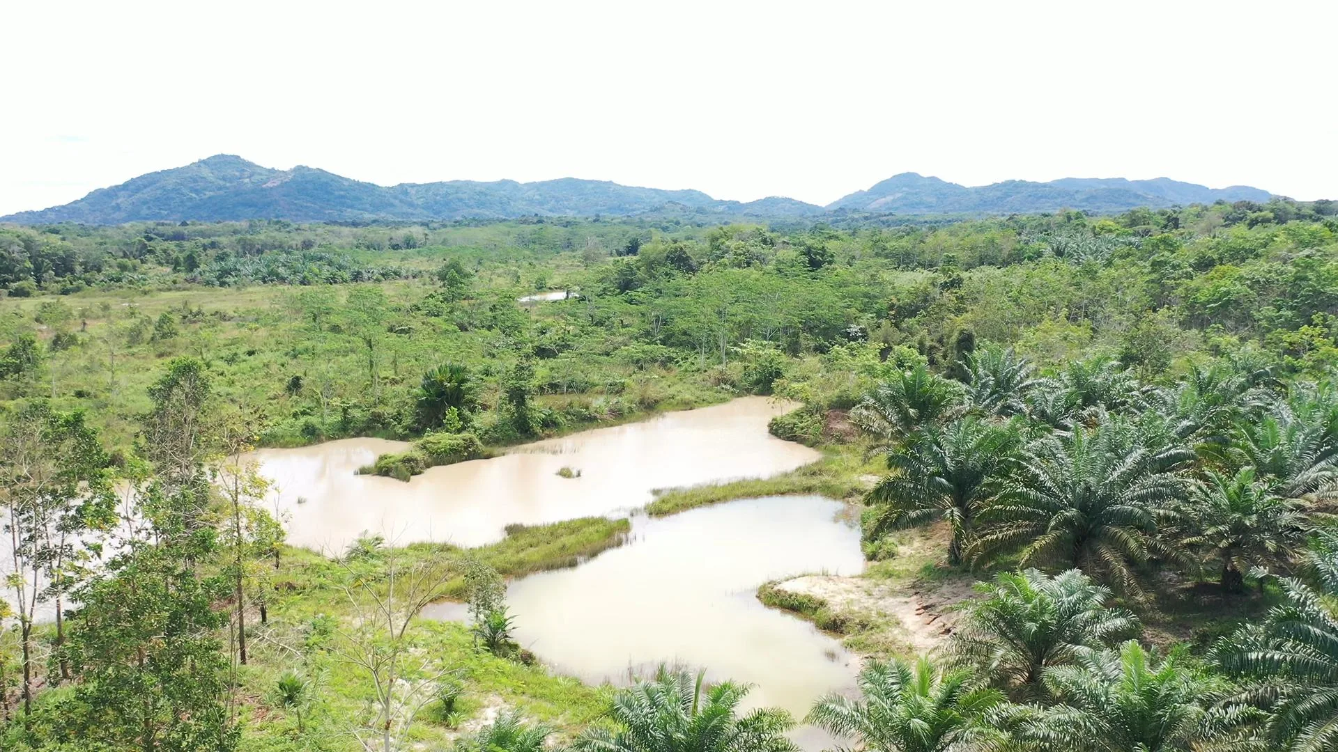 Ramai Isu Tanah Kosong Selama 2 Tahun Diambil Negara, Dirjen PPTR Sebut Kriteria Penetapan Objek Penertiban Tanah Telantar SHM Berbeda dengan SHGU dan SHGB